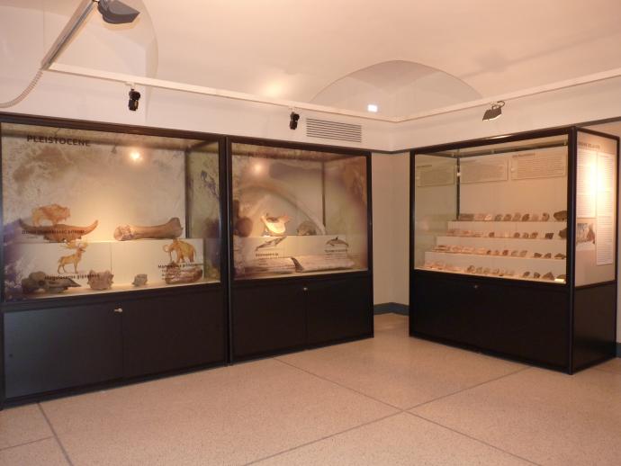 Museo di Storia Naturale