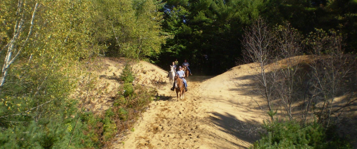 Parco Golena del Po