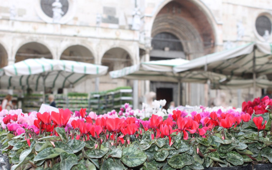 Il Mercato di Forte dei Marmi 