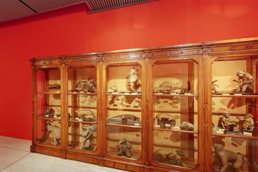 I naturalisti cremonesi si presentano I naturalisti cremonesi si presentano