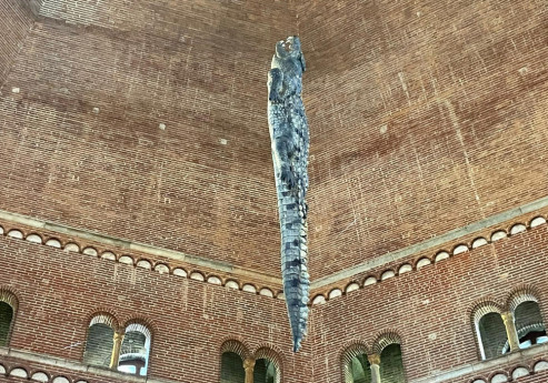 Cremona Contemporanea  Art Week