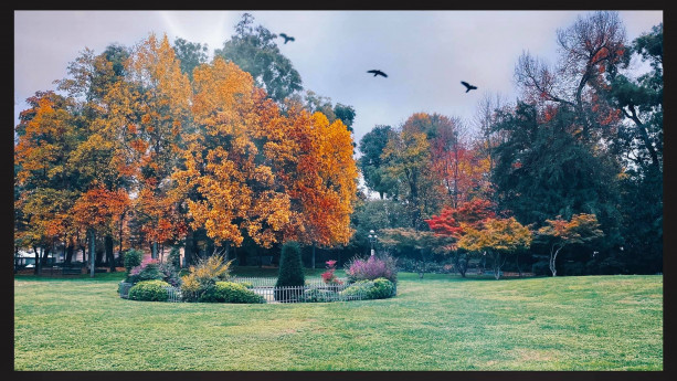 I COLORI DELL'AUTUNNO A CREMONA 