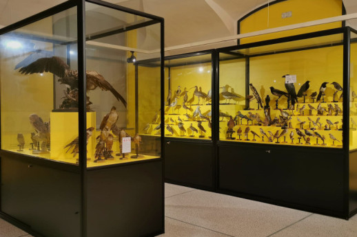 Orari Museo Storia Naturale maggio 2024
