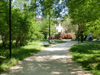 Caccia alla Magnolia Caccia alla Magnolia