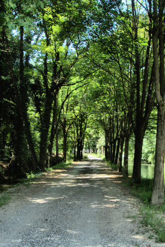 ALONG CREMONA’S CANALS