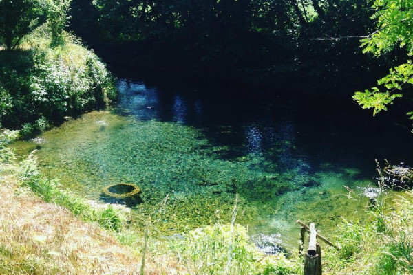 Fontanile